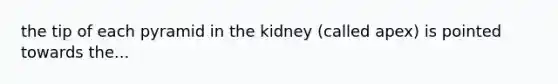 the tip of each pyramid in the kidney (called apex) is pointed towards the...