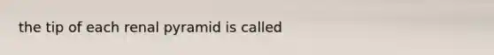 the tip of each renal pyramid is called