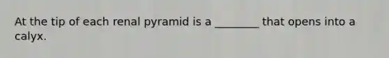 At the tip of each renal pyramid is a​ ________ that opens into a calyx.