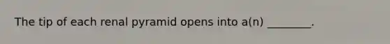 The tip of each renal pyramid opens into a(n) ________.