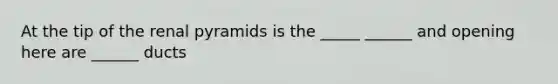 At the tip of the renal pyramids is the _____ ______ and opening here are ______ ducts