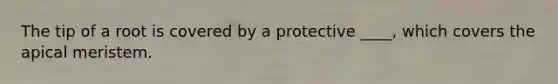 The tip of a root is covered by a protective ____, which covers the apical meristem.