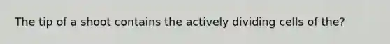 The tip of a shoot contains the actively dividing cells of the?