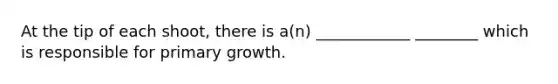 At the tip of each shoot, there is a(n) ____________ ________ which is responsible for primary growth.