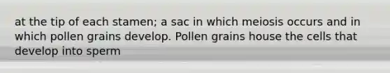 at the tip of each stamen; a sac in which meiosis occurs and in which pollen grains develop. Pollen grains house the cells that develop into sperm