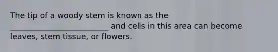 The tip of a woody stem is known as the _________________________ and cells in this area can become leaves, stem tissue, or flowers.