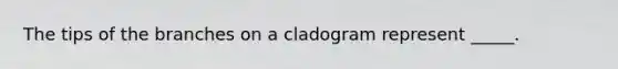 The tips of the branches on a cladogram represent _____.