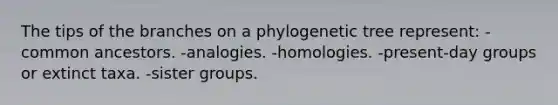 The tips of the branches on a phylogenetic tree represent: -common ancestors. -analogies. -homologies. -present-day groups or extinct taxa. -sister groups.