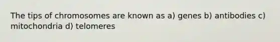 The tips of chromosomes are known as a) genes b) antibodies c) mitochondria d) telomeres