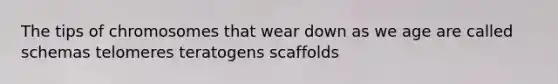 The tips of chromosomes that wear down as we age are called schemas telomeres teratogens scaffolds