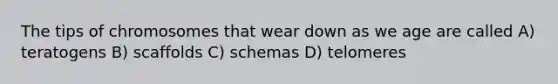 The tips of chromosomes that wear down as we age are called A) teratogens B) scaffolds C) schemas D) telomeres