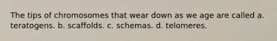 The tips of chromosomes that wear down as we age are called a. teratogens. b. scaffolds. c. schemas. d. telomeres.