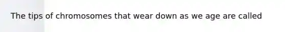 The tips of chromosomes that wear down as we age are called