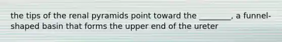 the tips of the renal pyramids point toward the ________, a funnel-shaped basin that forms the upper end of the ureter