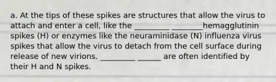 a. At the tips of these spikes are structures that allow the virus to attach and enter a cell, like the _________ ________hemagglutinin spikes (H) or enzymes like the neuraminidase (N) influenza virus spikes that allow the virus to detach from the cell surface during release of new virions. _________ ______ are often identified by their H and N spikes.