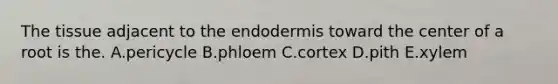 The tissue adjacent to the endodermis toward the center of a root is the. A.pericycle B.phloem C.cortex D.pith E.xylem