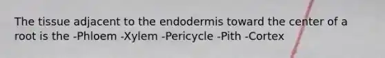 The tissue adjacent to the endodermis toward the center of a root is the -Phloem -Xylem -Pericycle -Pith -Cortex