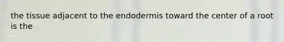 the tissue adjacent to the endodermis toward the center of a root is the