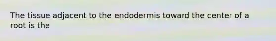 The tissue adjacent to the endodermis toward the center of a root is the