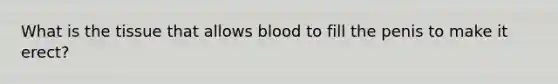 What is the tissue that allows blood to fill the penis to make it erect?