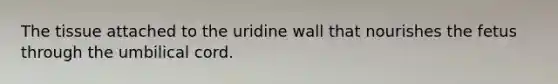 The tissue attached to the uridine wall that nourishes the fetus through the umbilical cord.