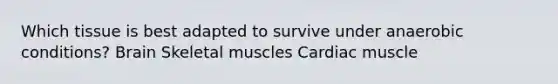 Which tissue is best adapted to survive under anaerobic conditions? Brain Skeletal muscles Cardiac muscle