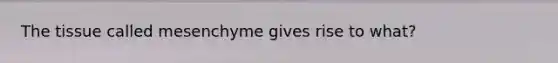 The tissue called mesenchyme gives rise to what?