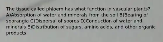 The tissue called phloem has what function in vascular plants? A)Absorption of water and minerals from the soil B)Bearing of sporangia C)Dispersal of spores D)Conduction of water and minerals E)Distribution of sugars, amino acids, and other organic products