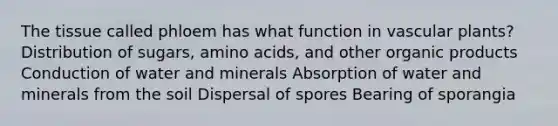 The tissue called phloem has what function in vascular plants? Distribution of sugars, amino acids, and other organic products Conduction of water and minerals Absorption of water and minerals from the soil Dispersal of spores Bearing of sporangia