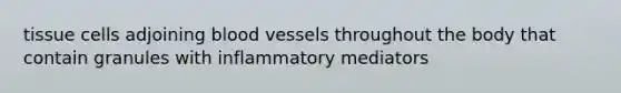 tissue cells adjoining blood vessels throughout the body that contain granules with inflammatory mediators