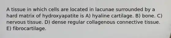 A tissue in which cells are located in lacunae surrounded by a hard matrix of hydroxyapatite is A) hyaline cartilage. B) bone. C) nervous tissue. D) dense regular collagenous connective tissue. E) fibrocartilage.