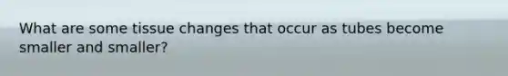 What are some tissue changes that occur as tubes become smaller and smaller?