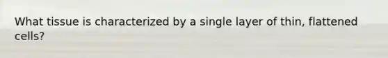 What tissue is characterized by a single layer of thin, flattened cells?