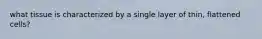 what tissue is characterized by a single layer of thin, flattened cells?