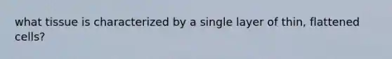 what tissue is characterized by a single layer of thin, flattened cells?