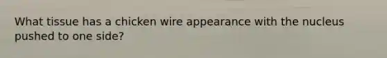 What tissue has a chicken wire appearance with the nucleus pushed to one side?