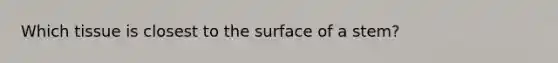 Which tissue is closest to the surface of a stem?