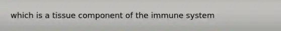 which is a tissue component of the immune system