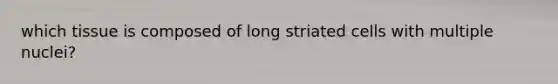 which tissue is composed of long striated cells with multiple nuclei?