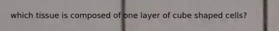 which tissue is composed of one layer of cube shaped cells?