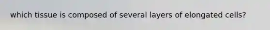 which tissue is composed of several layers of elongated cells?