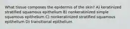 What tissue composes the epidermis of the skin? A) keratinized stratified squamous epithelium B) nonkeratinized simple squamous epithelium C) nonkeratinized stratified squamous epithelium D) transitional epithelium