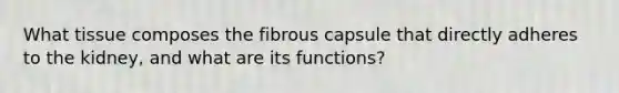 What tissue composes the fibrous capsule that directly adheres to the kidney, and what are its functions?