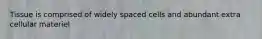 Tissue is comprised of widely spaced cells and abundant extra cellular materiel