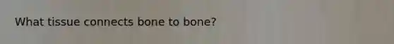 What tissue connects bone to bone?