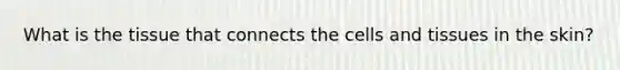 What is the tissue that connects the cells and tissues in the skin?