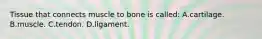 Tissue that connects muscle to bone is​ called: A.cartilage. B.muscle. C.tendon. D.ligament.