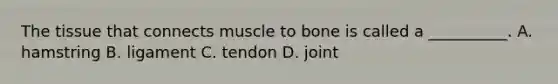 The tissue that connects muscle to bone is called a __________. A. hamstring B. ligament C. tendon D. joint