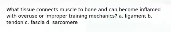 What tissue connects muscle to bone and can become inflamed with overuse or improper training mechanics? a. ligament b. tendon c. fascia d. sarcomere