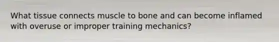 What tissue connects muscle to bone and can become inflamed with overuse or improper training mechanics?